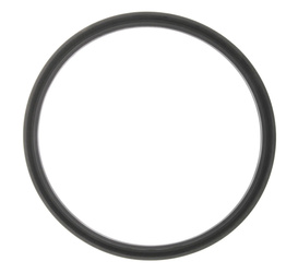 Piston`s seal for bead breaker M220/M200/M110