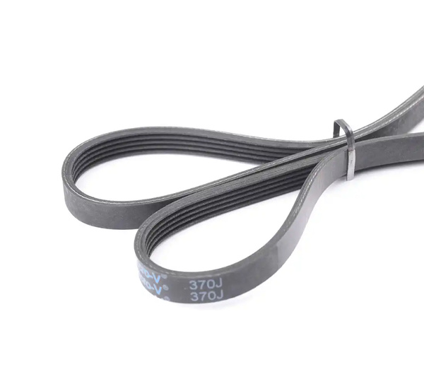 Belt for the engine W300/W320/W620/W650